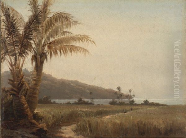 Coconut Palms by the Sea, St. Thomas[1], Palm Trees by the Sea[2] Oil Painting by Camille Pissarro