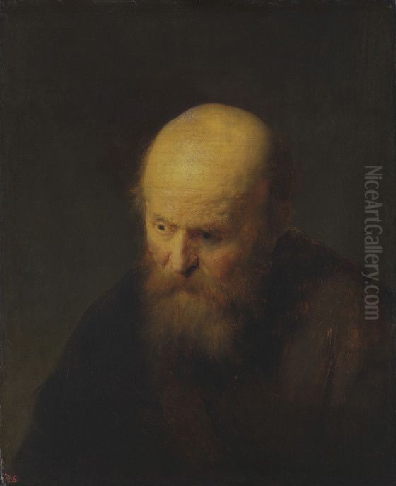 Bust of an old man with a bald head Oil Painting by Rembrandt