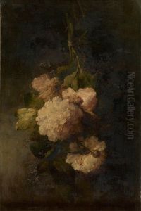 Peonies