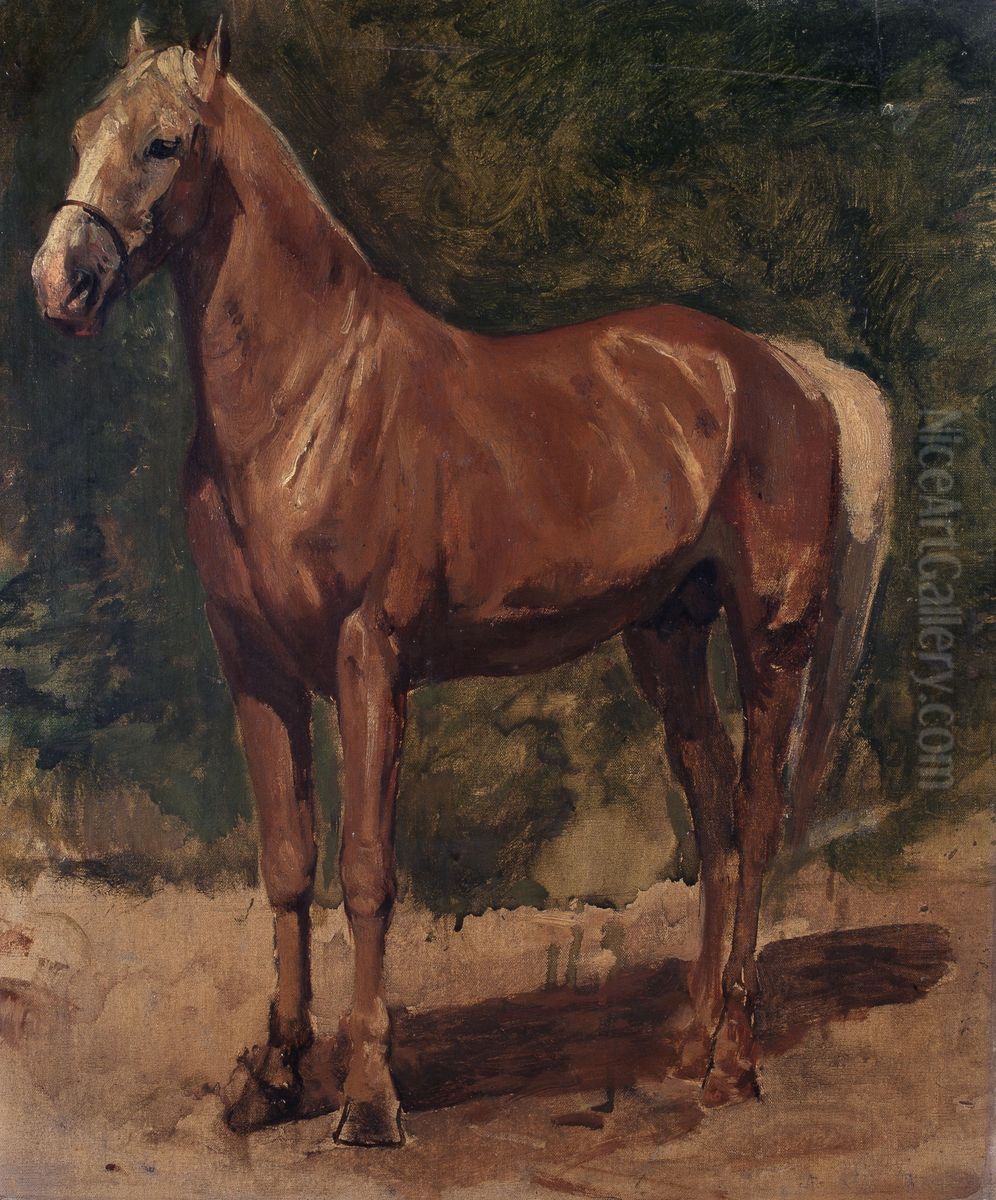Study of a Horse Oil Painting by Alfred Verwee