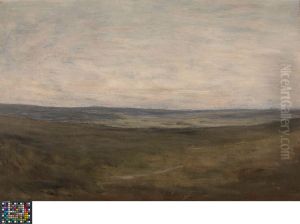 The Plains