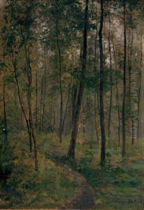 Woodland Scene
