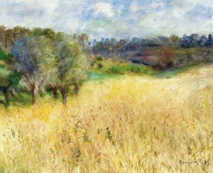 Campo de trigo