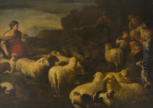 Flock of Sheep Flock of Sheep