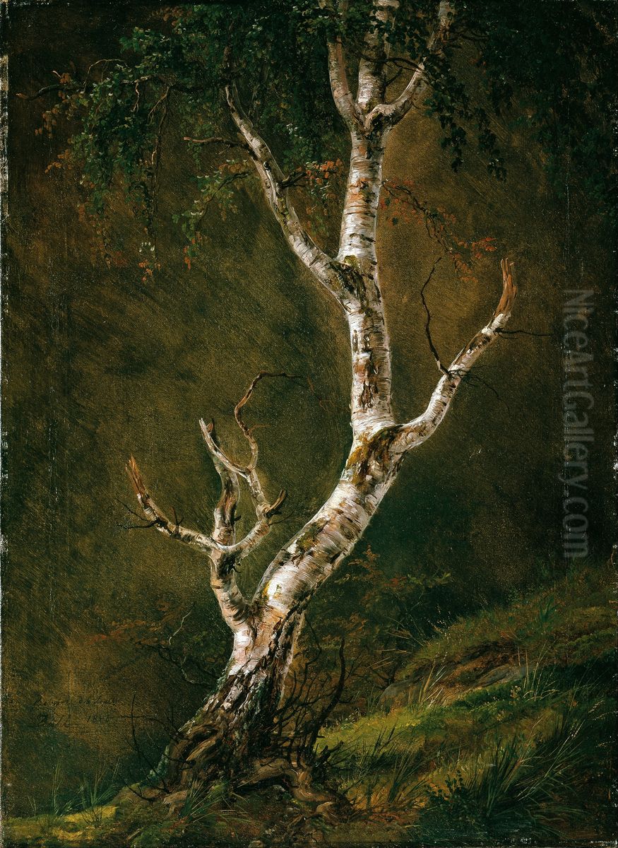 Study of a Birch Tree Oil Painting by Johan Wilhelm Ludwig Dahl