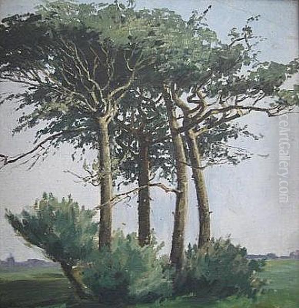 Kiefern Oil Painting by Louise Droste-Roggemann