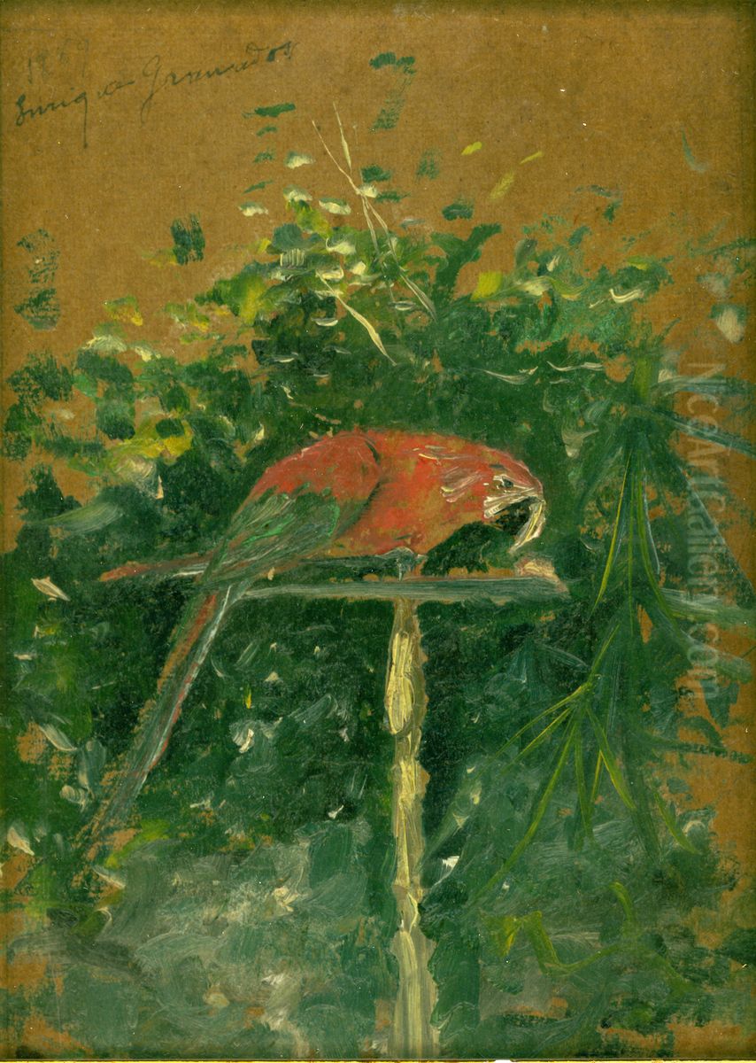 Retrat d'un lloro Oil Painting by Enrique Granados