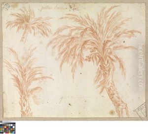 Studies van een palmboom