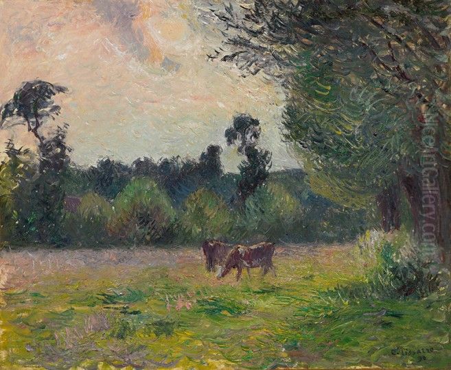 Cows on a Meadow, Sunset Oil Painting by Camille Pissarro