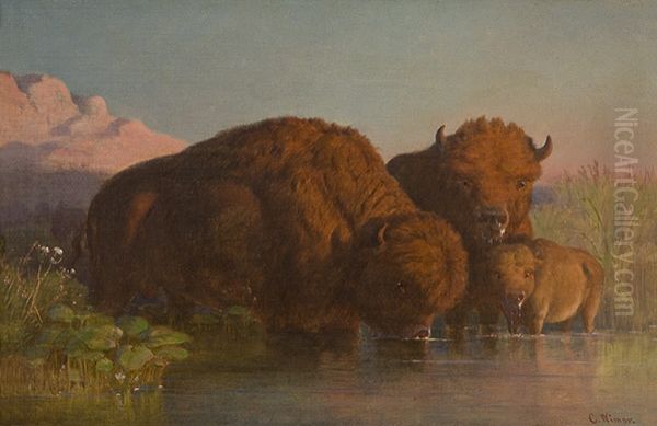 Buffalo Drinking Oil Painting by Karl Ferdinand Wimar
