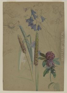 Flower Study
