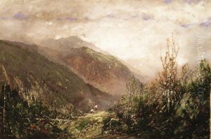 Scene in the White Mountains