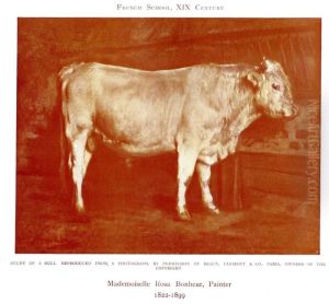 Study of a Bull