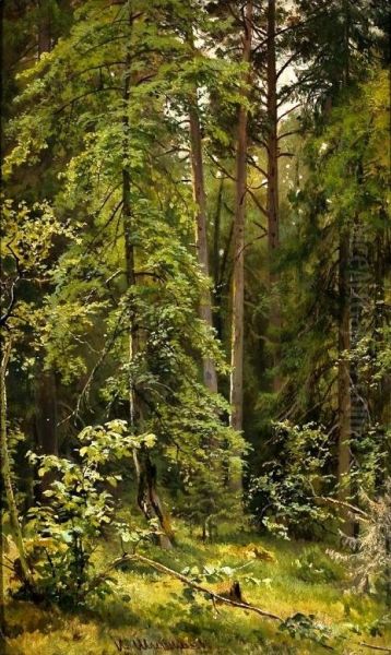 <<Les>> Oil Painting by Ivan Shishkin