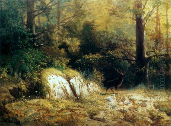Forest landscape with a deer Oil Painting by Feliks Brzozowski