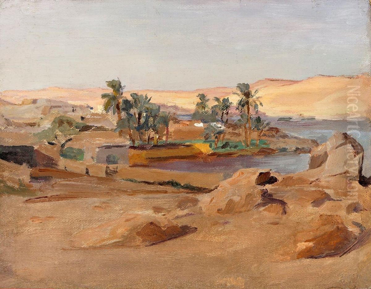 The River Nile near Aswan. From the journey to Egypt Oil Painting by Jan Ciaglinski