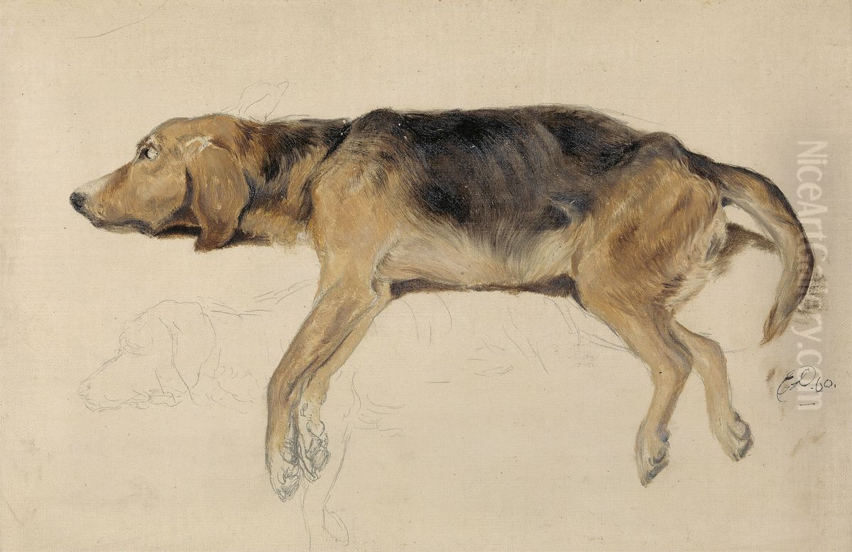 Study of a Dog Lying Down Oil Painting by Sir Edwin Henry Landseer