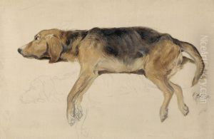 Study of a Dog Lying Down