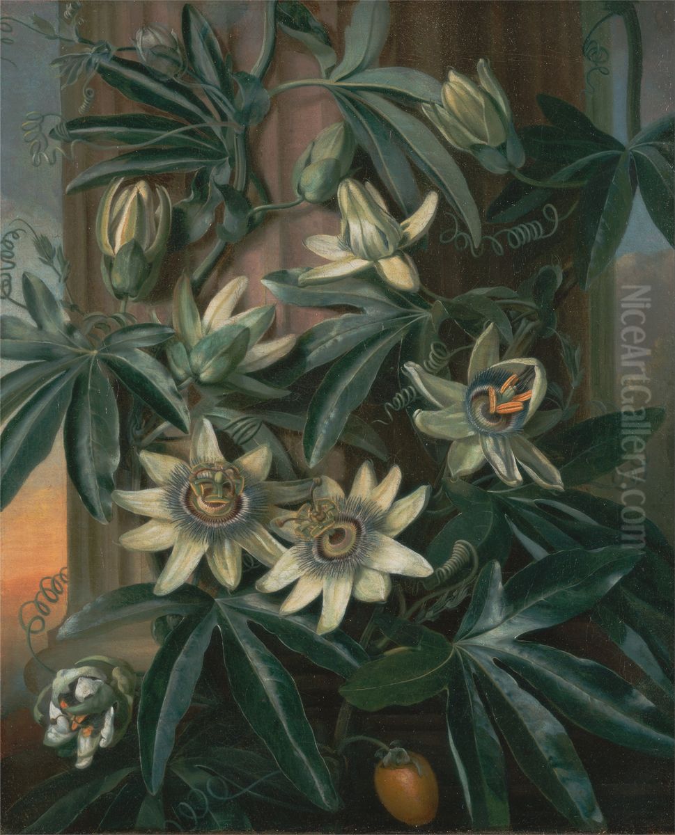 Blue Passion Flower, for the 