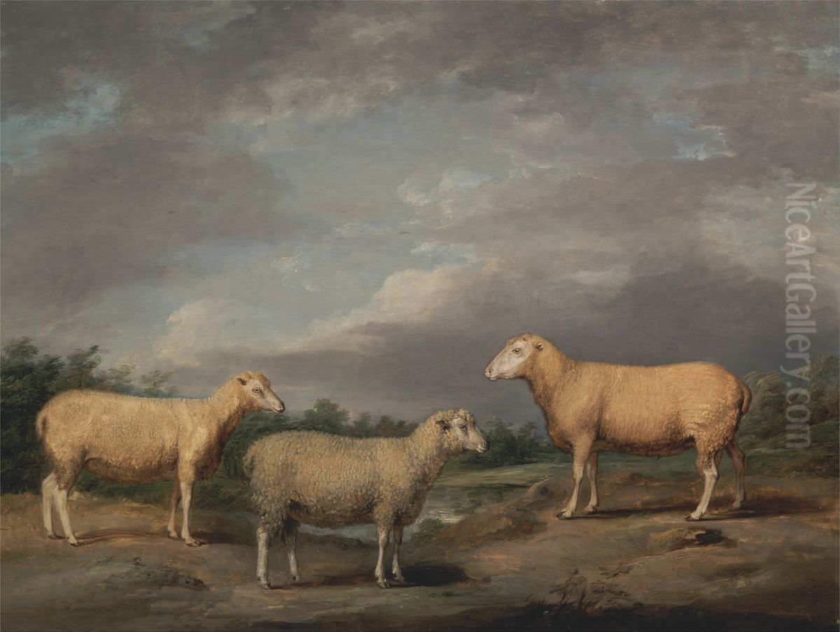 Ryelands Sheep, the King's Ram, the King's Ewe and Lord Somerville's Wether Oil Painting by James Ward