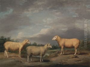 Ryelands Sheep, the King's Ram, the King's Ewe and Lord Somerville's Wether