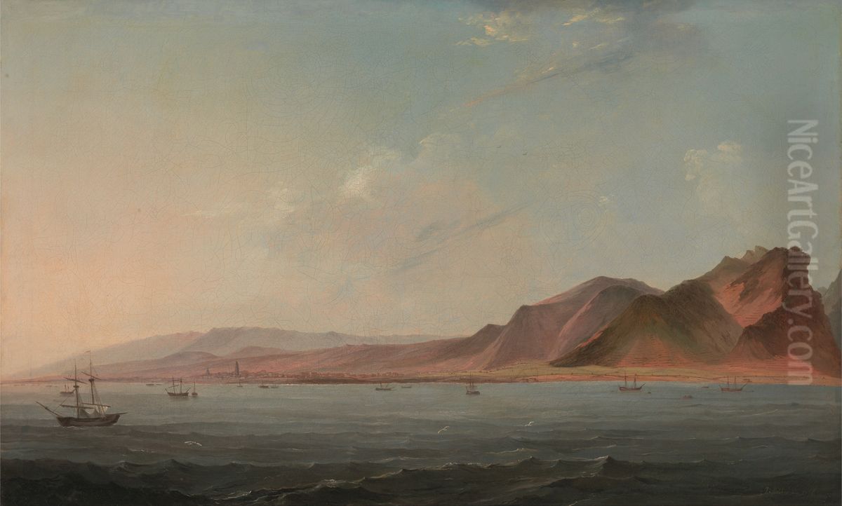 View of Santa Cruz, Tenerife Oil Painting by John Webber