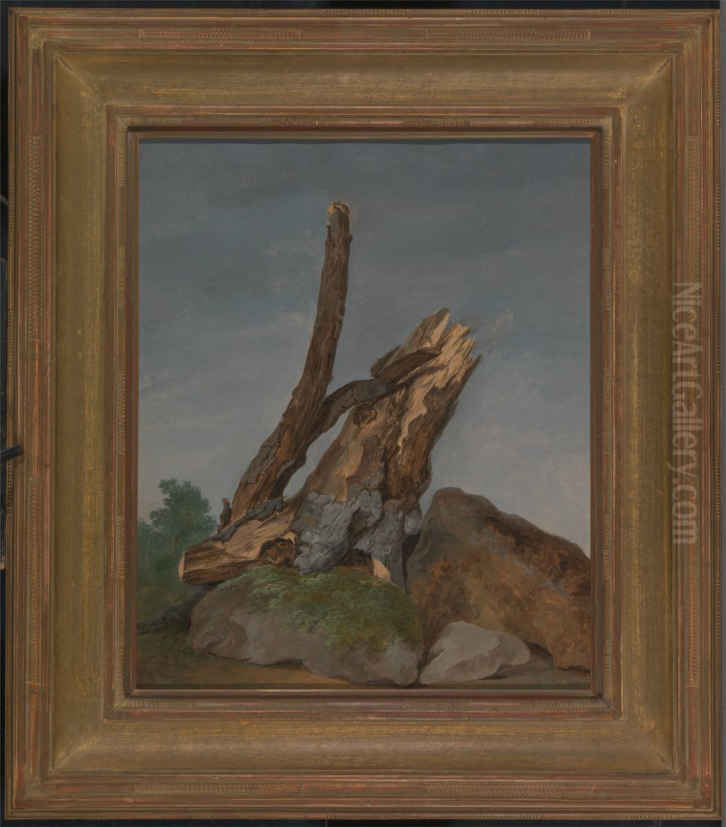 Study of Rocks and Branches Oil Painting by George Augustus Wallis