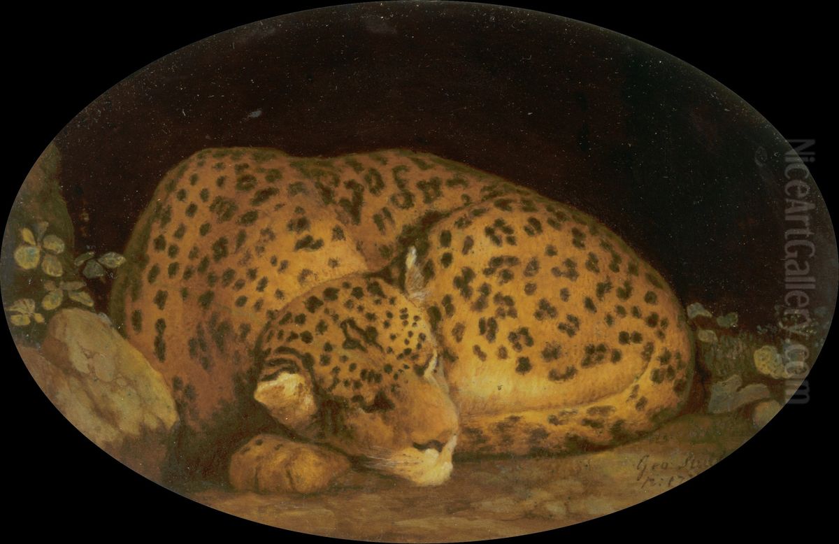 Sleeping Leopard Oil Painting by George Stubbs