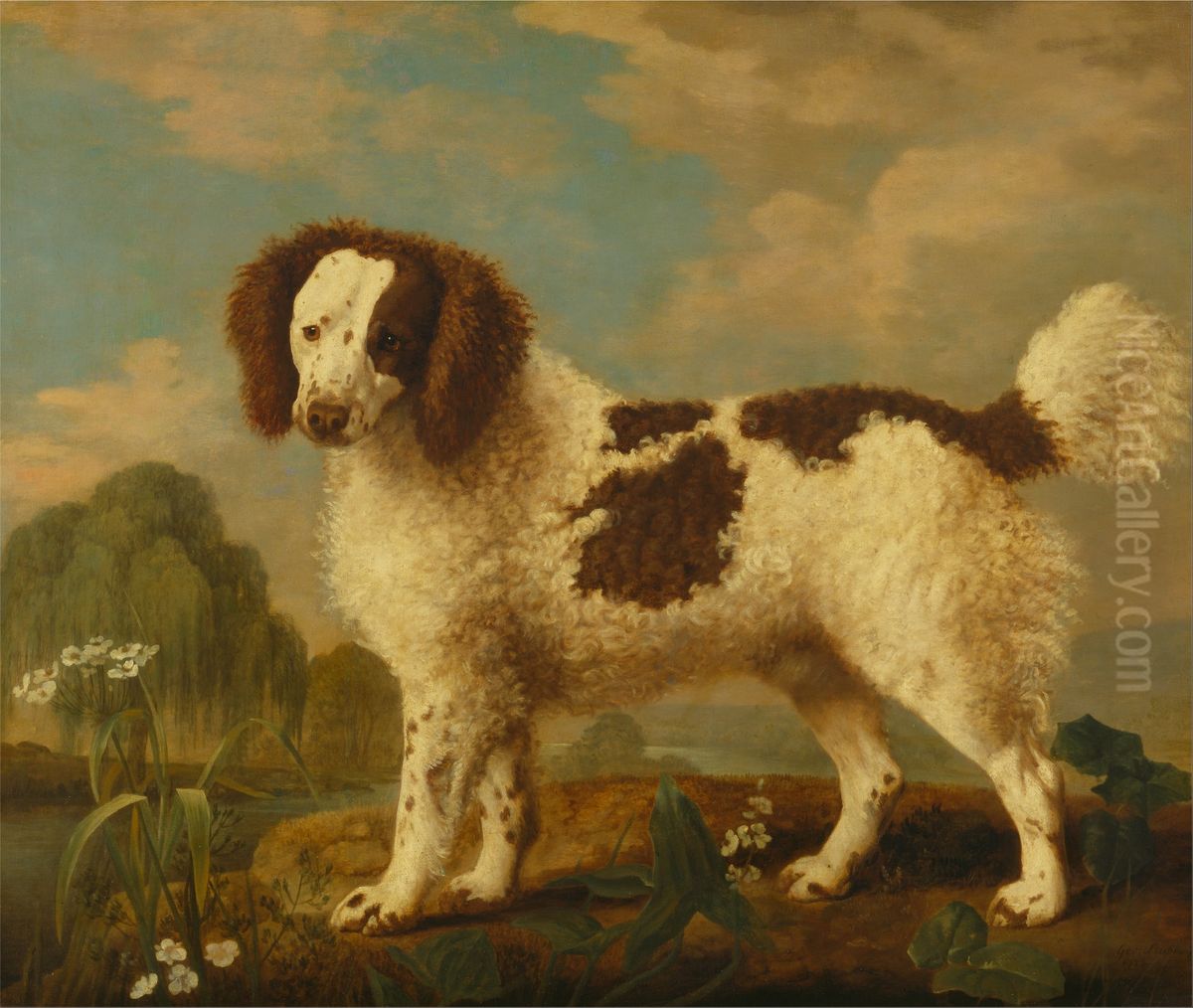 Brown and White Norfolk or Water Spaniel Oil Painting by George Stubbs