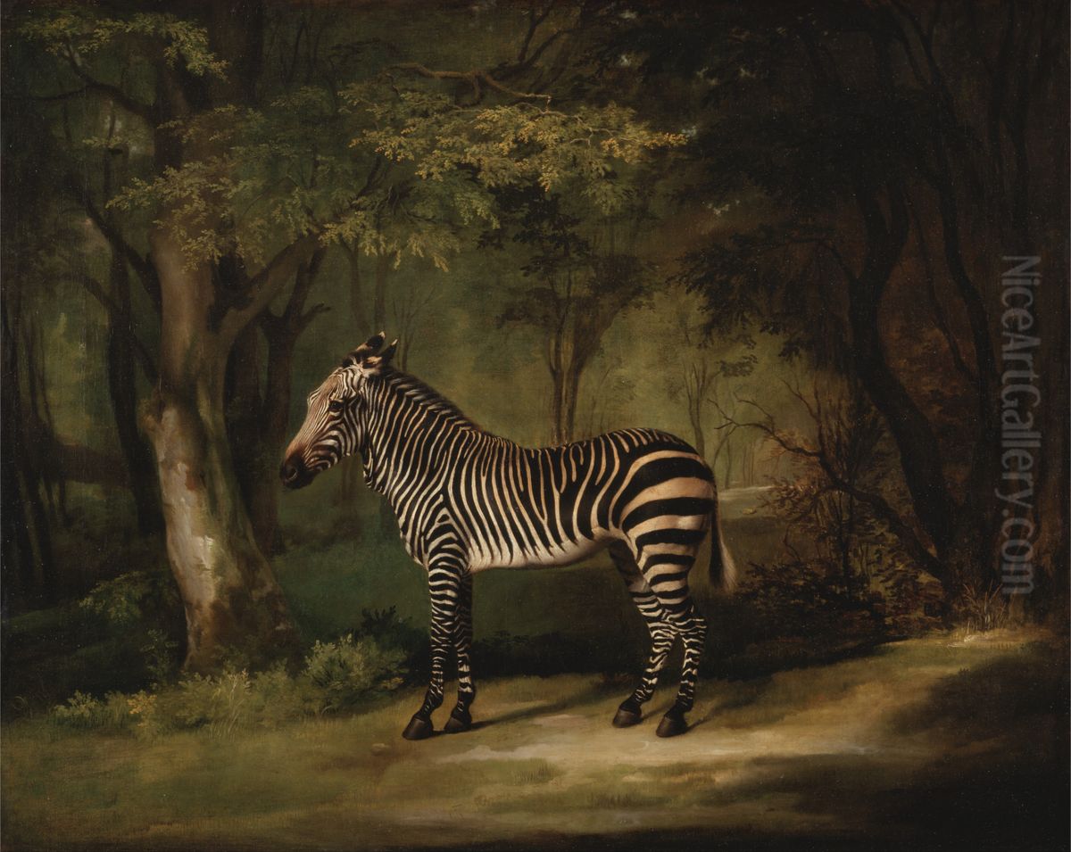 Zebra Oil Painting by George Stubbs