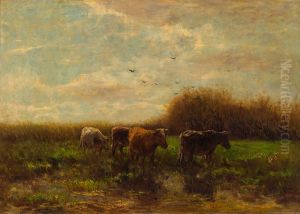 Cows at evening