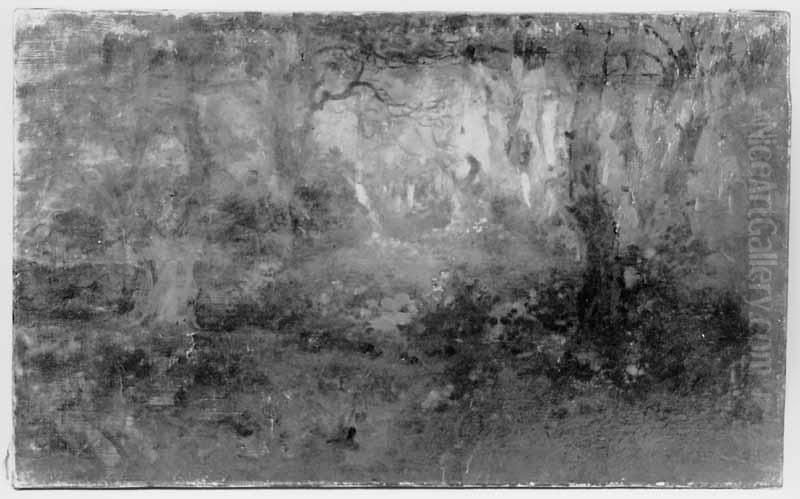 Het betoverde bos Oil Painting by Jan Voerman