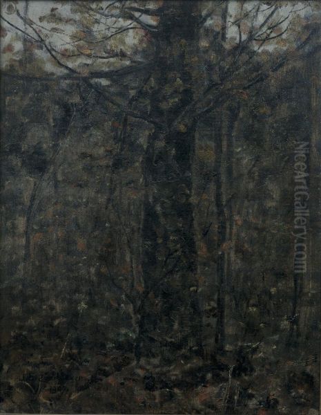 Boom Oil Painting by Jan Adam Zandleven