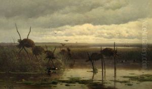 Polderlandschap met eendenesten