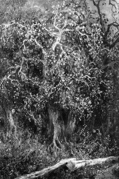 Sous-Bois Oil Painting by Adolphe Hervier