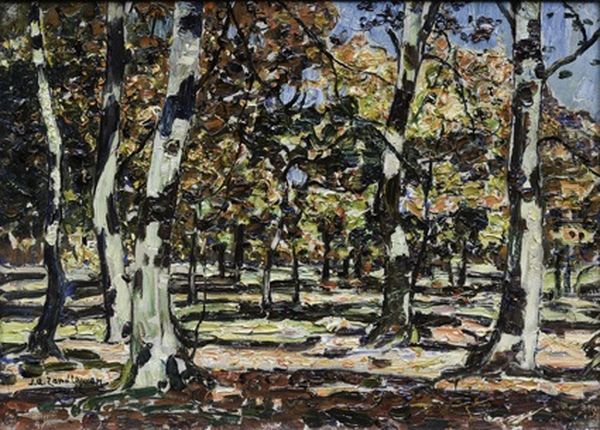 Bomen in de zon Oil Painting by Jan Adam Zandleven