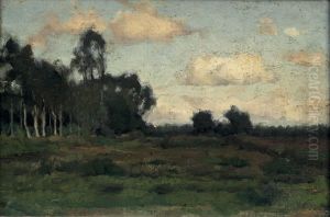 Gezicht op de heide bij Rolde