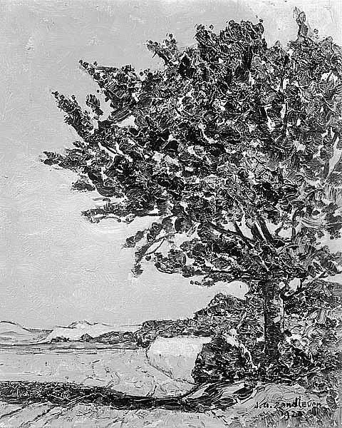 Boom aan akkerzoom in de duinen Oil Painting by Jan Adam Zandleven
