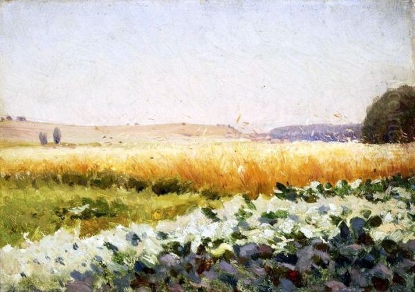 Field of cabbage Oil Painting by Jan Stanislawski