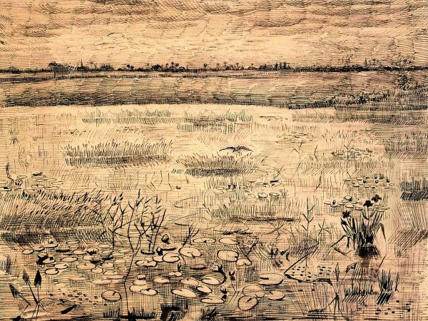 Marsh with Water Lilies Oil Painting by Vincent Van Gogh