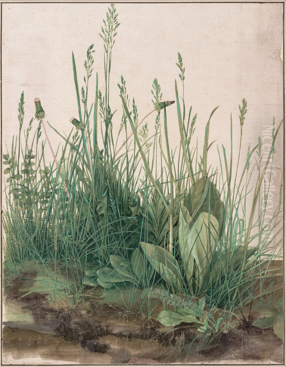 Das grosse Rasenstuck Oil Painting by Albrecht Durer