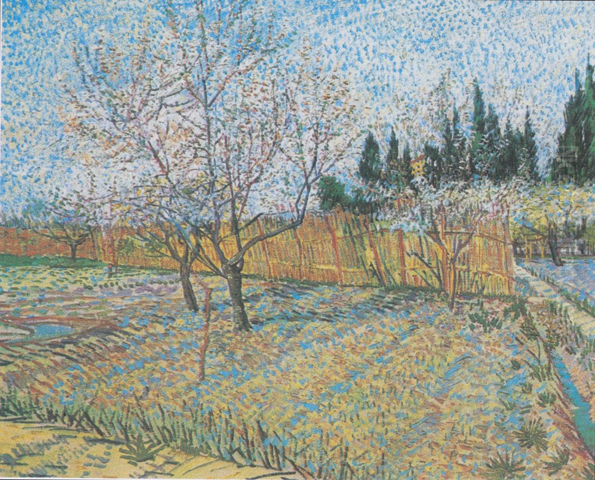 Flowering orchard with peach-trees Oil Painting by Vincent Van Gogh