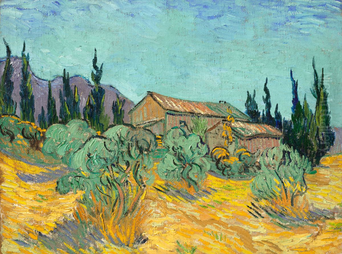 Huts surrounded by olive trees and cypresses Oil Painting by Vincent Van Gogh