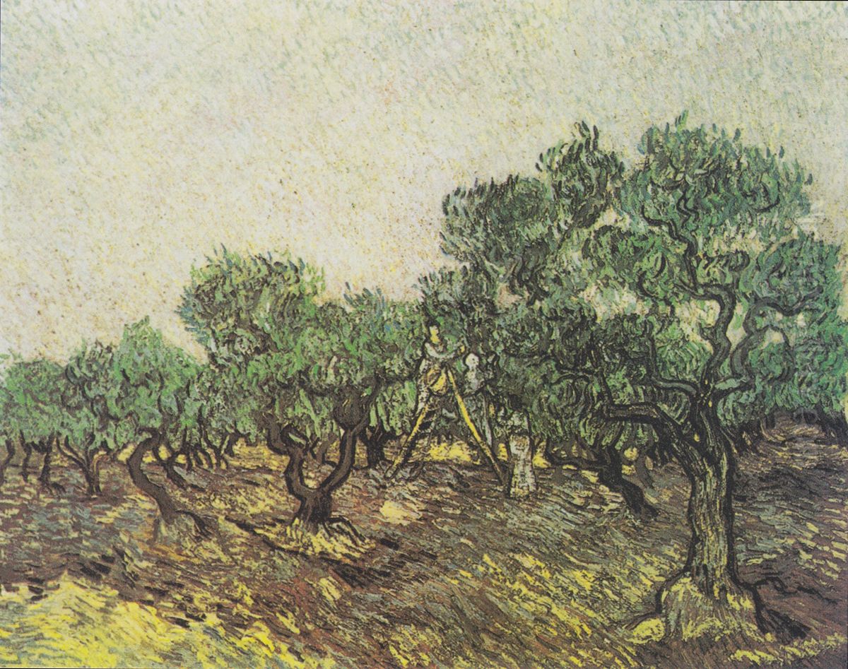 Olive pickers Oil Painting by Vincent Van Gogh