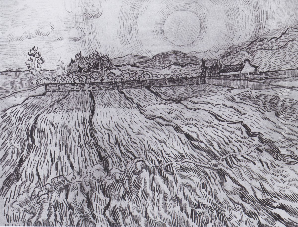 Fenced field behind the hospital of Saint-Paul Oil Painting by Vincent Van Gogh