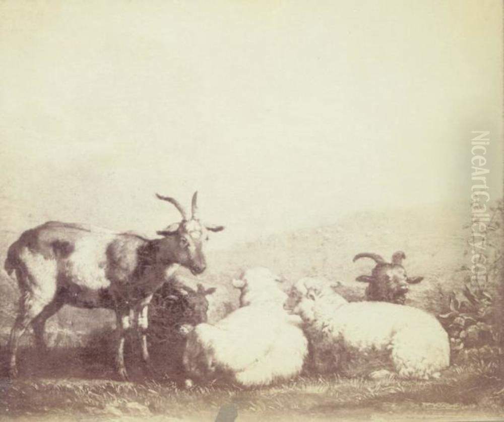 Sheep and Goats Oil Painting by Karel Dujardin