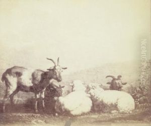 Sheep and Goats