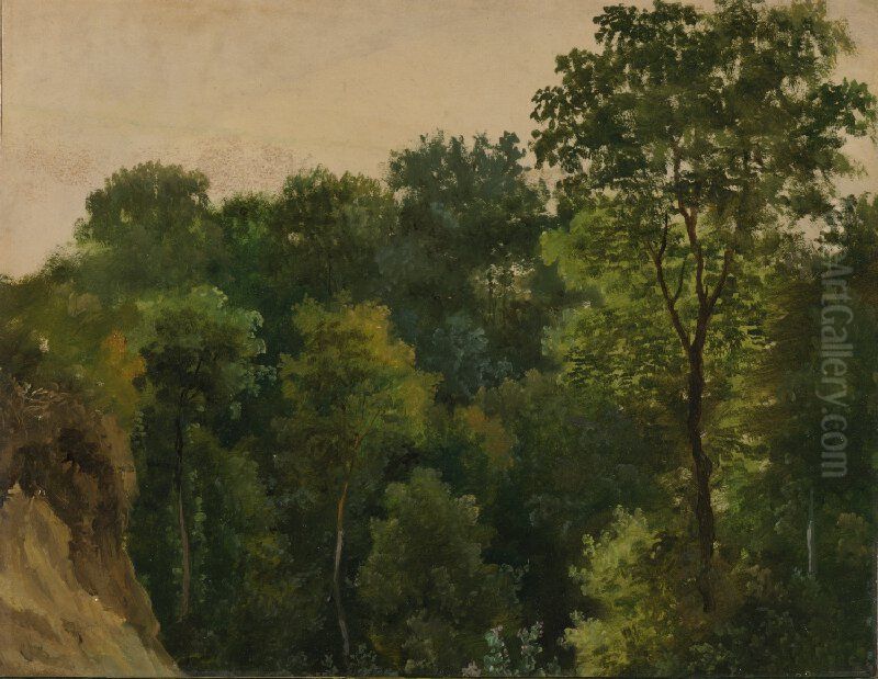 Tree study Oil Painting by Jean-Michel Cels