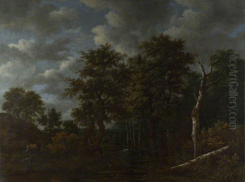 A Pool surrounded by Trees Oil Painting by Jacob Van Ruisdael