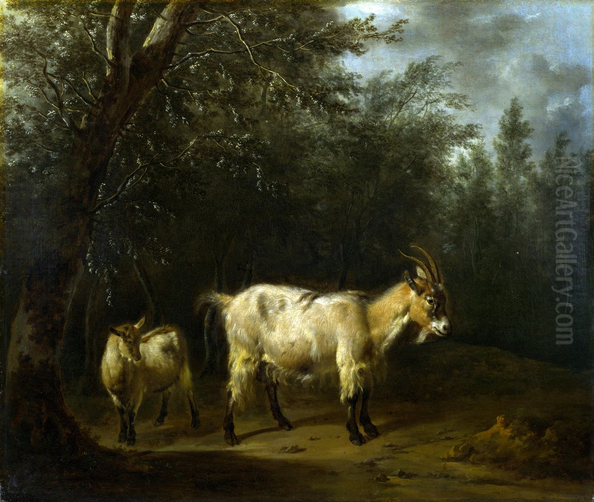 A Goat and a Kid Oil Painting by Adriaen Van De Velde